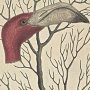 Bill of the Flamingo