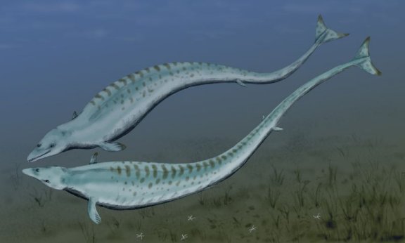 Basilosaurus cetoides - Prehistoric Animals