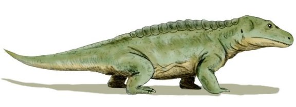 Cacops aspidephorus - Prehistoric Animals