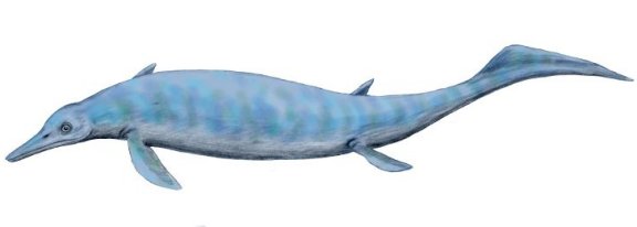 Chaohusaurus geishanensis - Prehistoric Animals