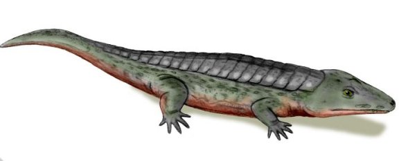 Chroniosuchus paradoxus - Prehistoric Animals