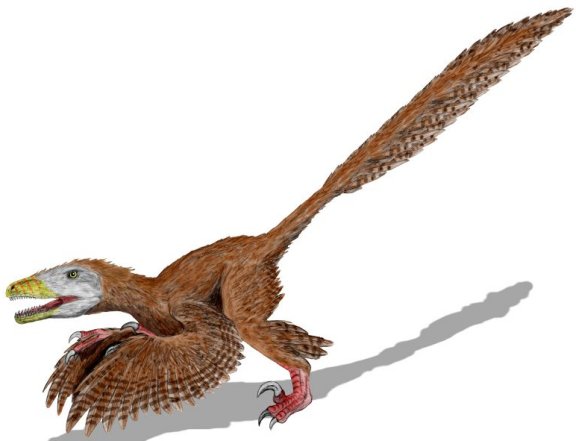 Deinonychus antirrhopus - Prehistoric Animals