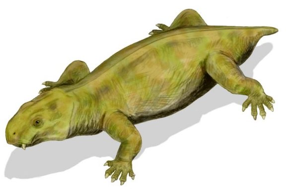 Dicynodon - Prehistoric Animals