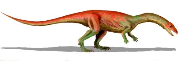 Effigia okeeffeae - Prehistoric Animals