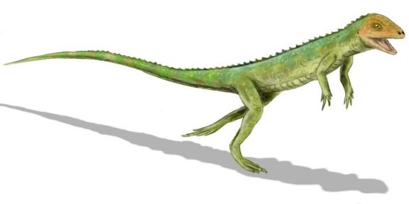 Eudibamus cursoris - Prehistoric Animals