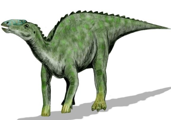 Kritosaurus navajovius - Prehistoric Animals