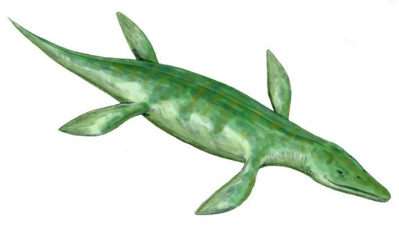 Kronosaurus queenslandicus - Prehistoric Animals