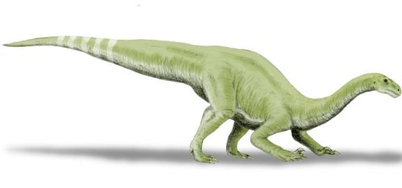 Lamplughsaura dharmarasensis - Prehistoric Animals