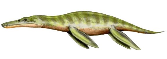 Liopleurodon ferox - Prehistoric Animals