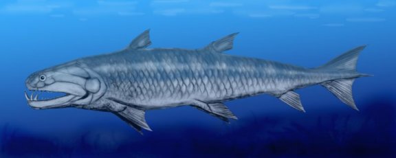 Onychodus sigmoides - Prehistoric Animals