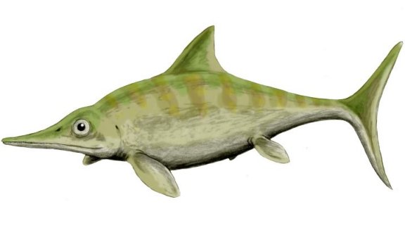 Ophthalmosaurus - Prehistoric Animals