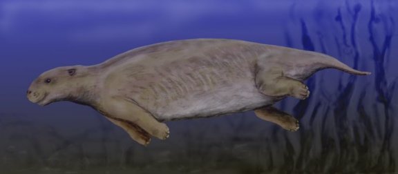 Prorastomus sirenoides - Prehistoric Animals