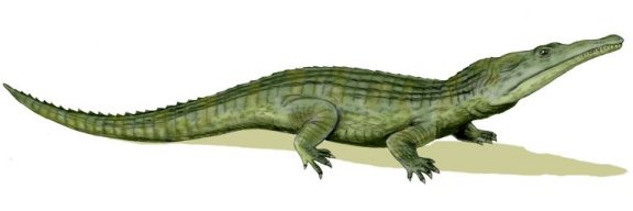 Proterochampsa barrionuevoi - Prehistoric Animals