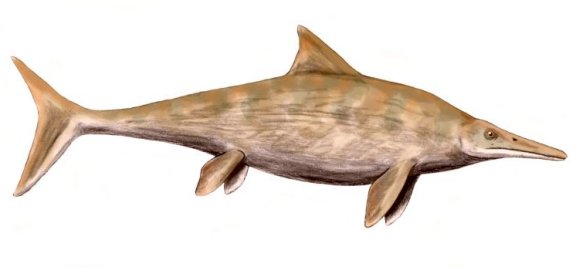 Stenopterygius quadriciscissus - Prehistoric Animals