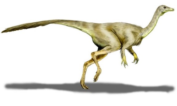 Struthiomimus altus - Prehistoric Animals