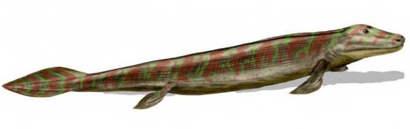 Tiktaalik rosae - Prehistoric Animals