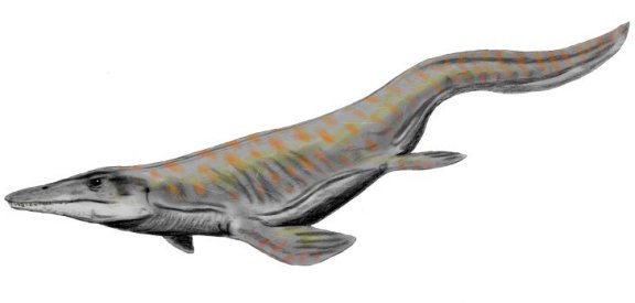 Tylosaurus proriger - Prehistoric Animals