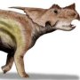 Achelousaurus horneri