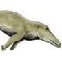 Ambulocetus