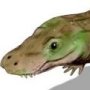 Anatosuchus