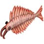 Anomalocaris canadensis