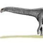 Argentinosaurus