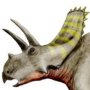 Arrhinoceratops