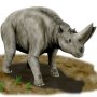 Arsinoitherium