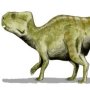 Auroraceratops rugosus