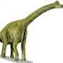 Brachiosaurus