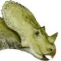 Brachyceratops