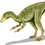 Compsognathus