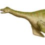 Cryptocleidus