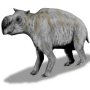 Diprotodon