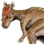 Dracorex