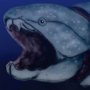 Dunkleosteus terreli