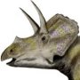 Eotriceratops