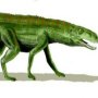 Gracilisuchus