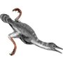 Hesperornis