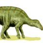 Iguanodon