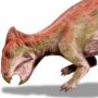 Liaoceratops