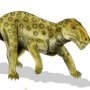 Lycaenops