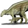 Maiasaura