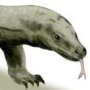 Megalania