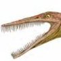 Mesosaurus