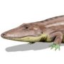 Parotosuchus