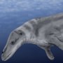 Rhodocetus