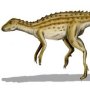 Scutellosaurus