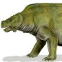 Scutosaurus karpinskii