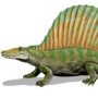 Secodontosaurus obtusidens
